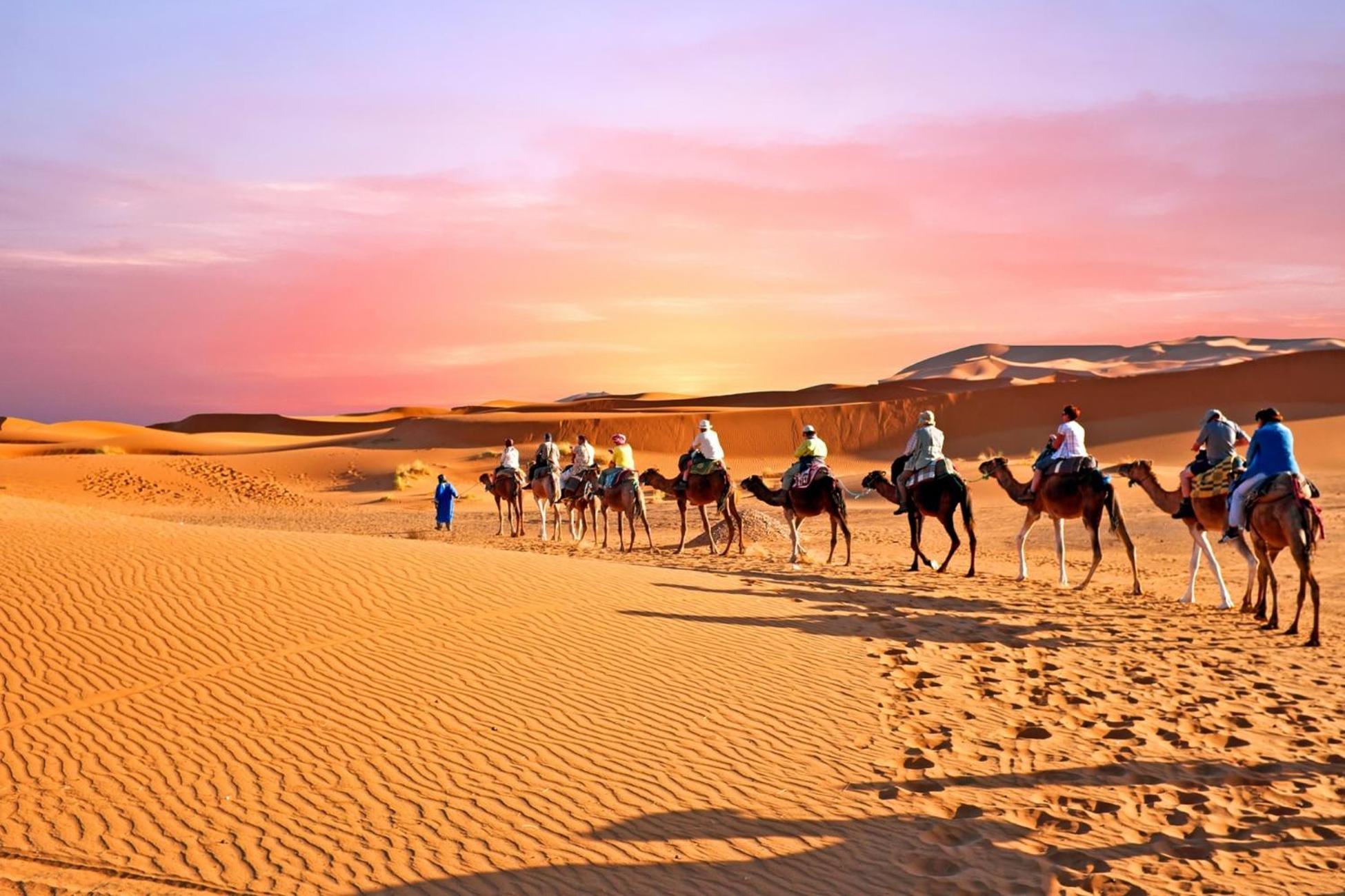Desert Camel Trek Merzouga Exterior foto